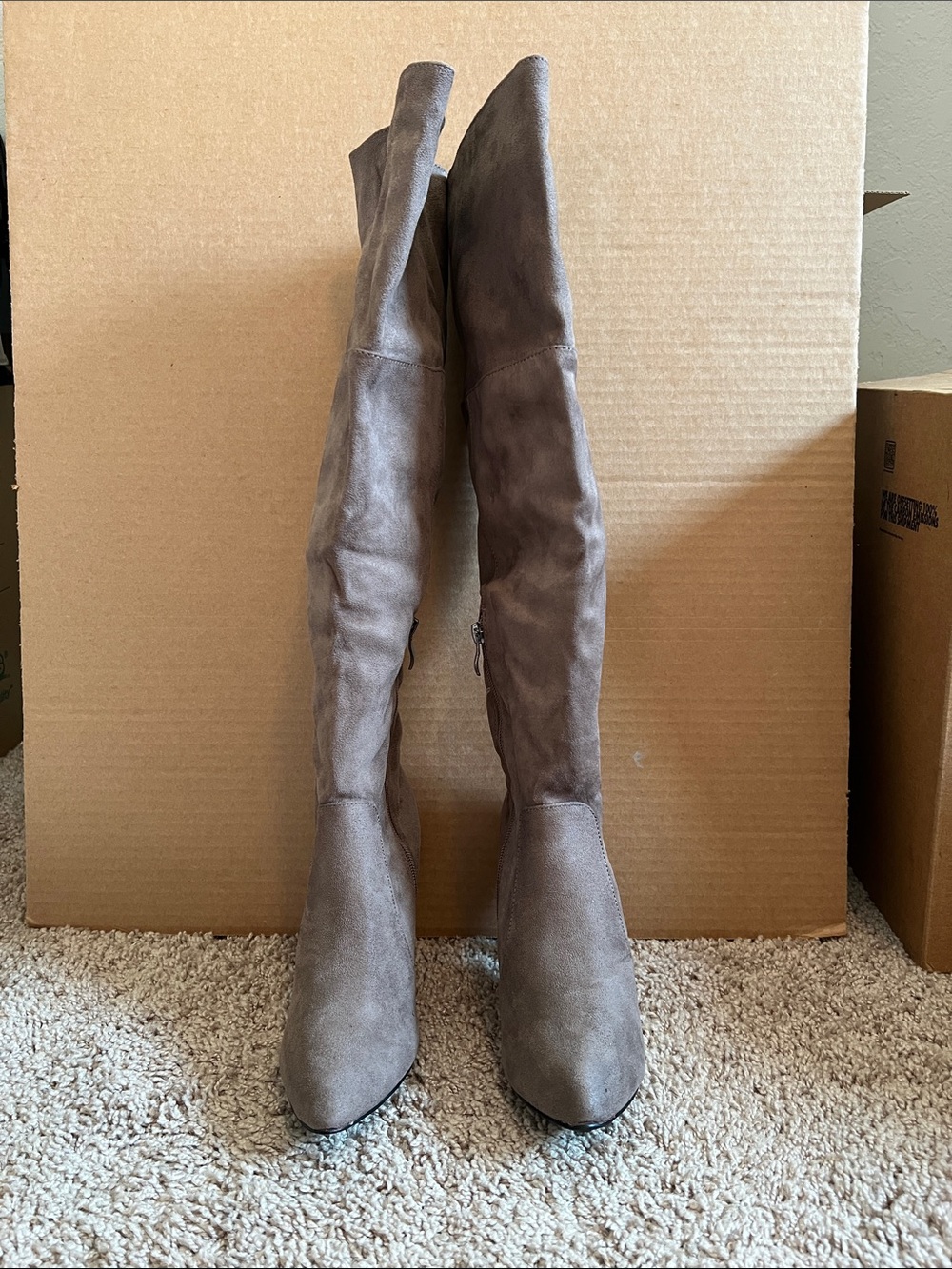 Catherine Malandrino Women's Tall Taupe Over-the-Knee Boots
